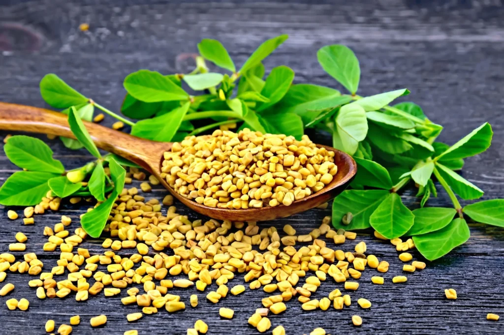 Vendhayam - Fenugreek seeds - 100g