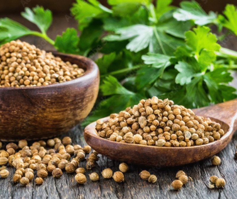 Dhaniya - Coriander Seeds - 1kg